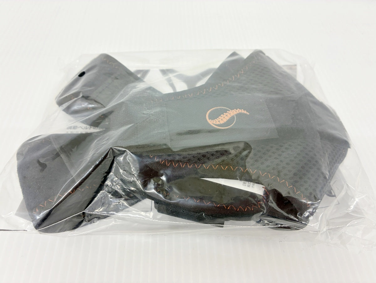 POSTURE DOCTOR ポスチャードクター 姿勢補助サポーター