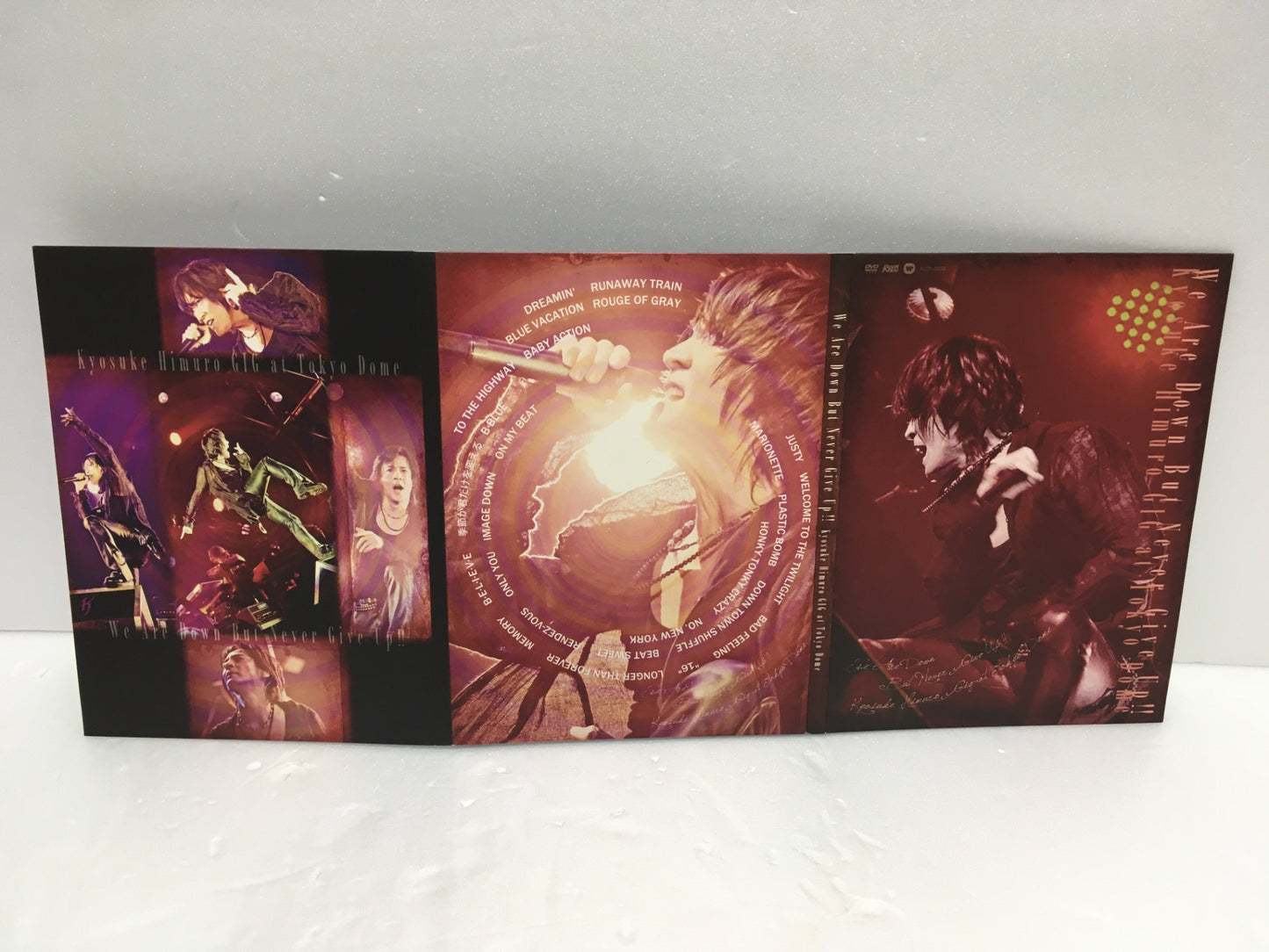 ※送料無料※ 氷室京介 GIG at TOKYO DOME "We Are Down But Never Give Up!!" DVD 中古 囗G