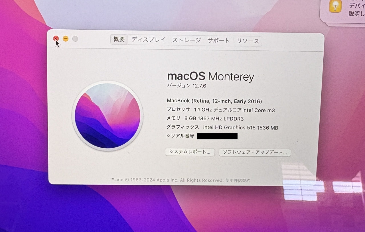 Apple MacBook Retina 12-inch Early 2016 MLHE2J/A ゴールド Intel Core M3/SSD256GB/8GB囗T巛