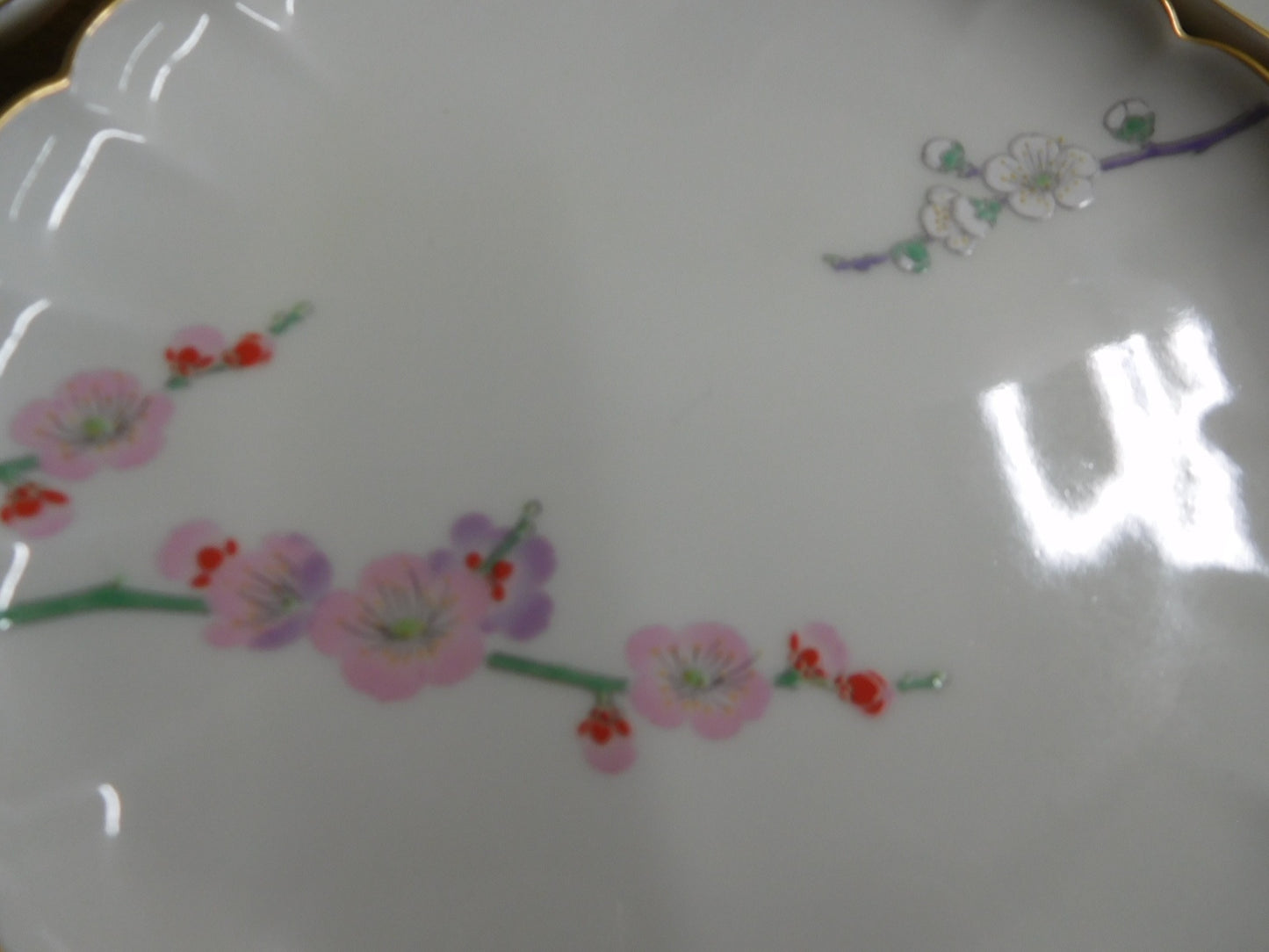 送料無料 深川製磁 紅白梅 和皿揃(５枚)囗T巛