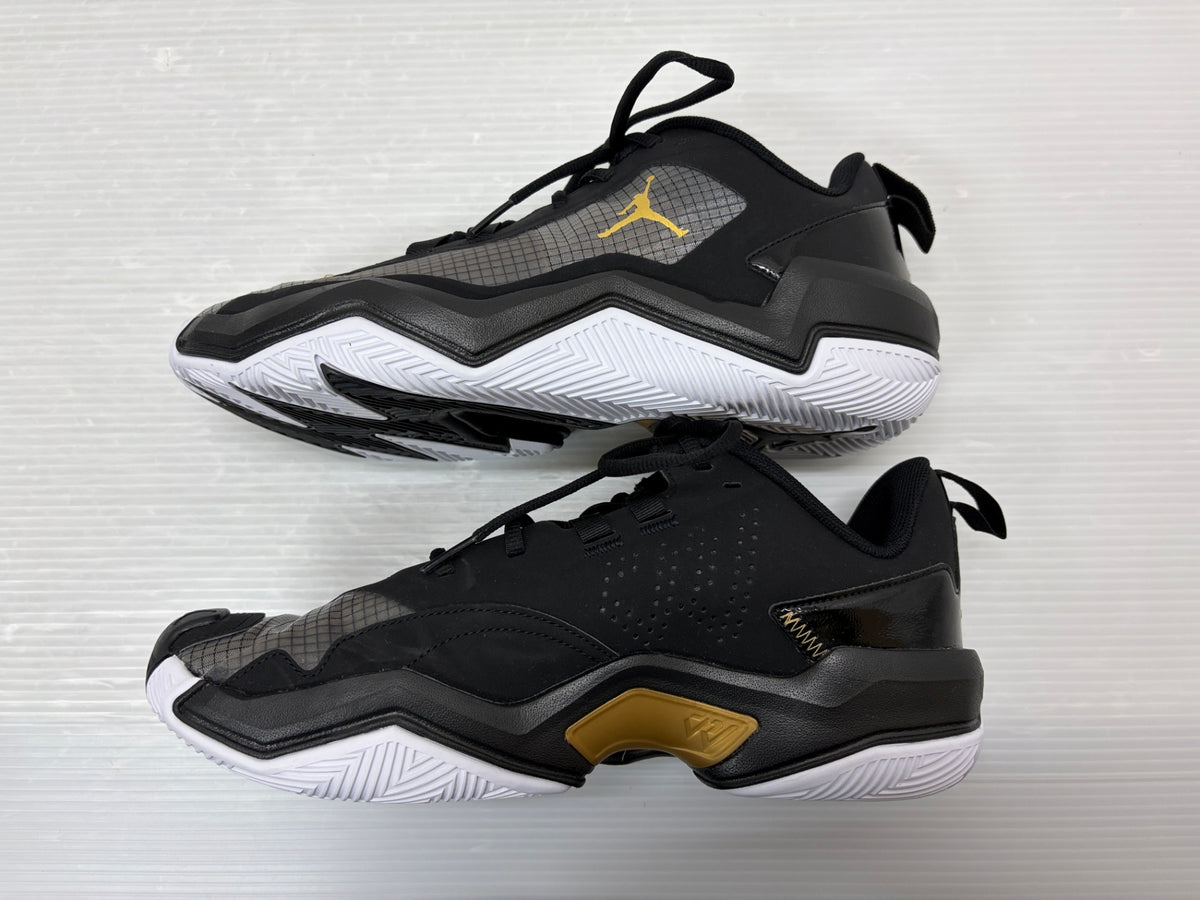NIKE JORDAN ONE TAKE 4 ナイキ ジョーダン ワン テイク 28cm DO7193-007