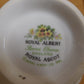 ROYAL ALBERT ティーカップ＆ソーサー揃囗T巛