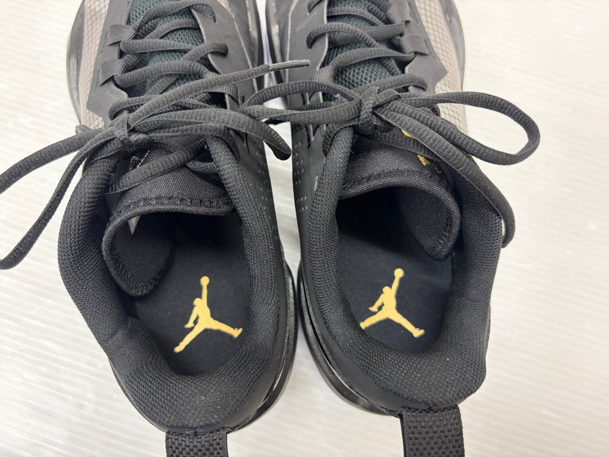 NIKE JORDAN ONE TAKE 4 ナイキ ジョーダン ワン テイク 28cm DO7193-007