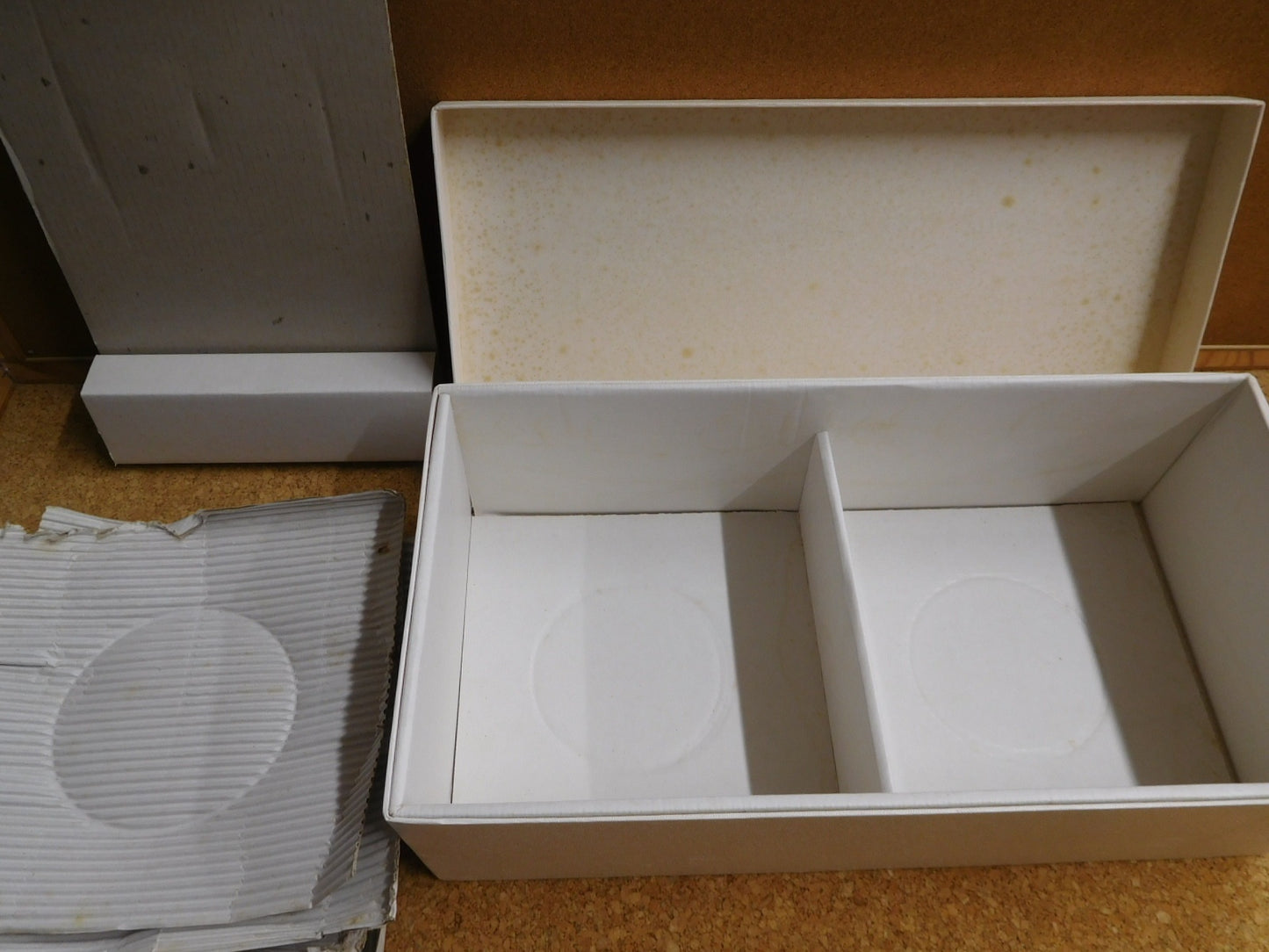 送料無料 深川製磁 蝶 皿揃い 囗T巛