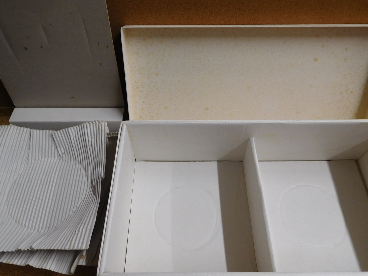 送料無料 深川製磁 蝶 皿揃い 囗T巛