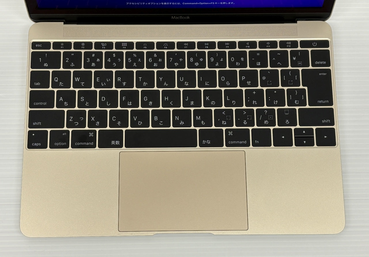 Apple MacBook Retina 12-inch Early 2016 MLHE2J/A ゴールド Intel Core M3/SSD256GB/8GB囗T巛