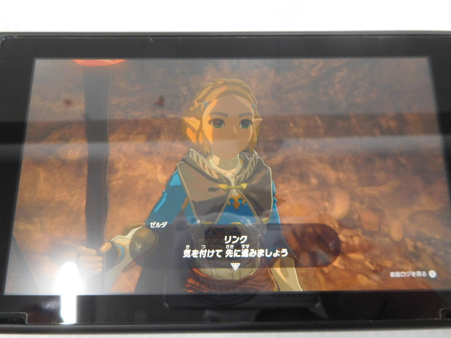 送料無料 クリックポスト発送 ゼルダの伝説 ティアーズ オブ ザ キングダム ソフトのみ囗T巛