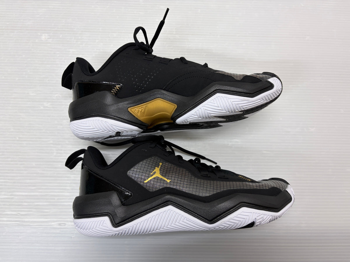 NIKE JORDAN ONE TAKE 4 ナイキ ジョーダン ワン テイク 28cm DO7193-007