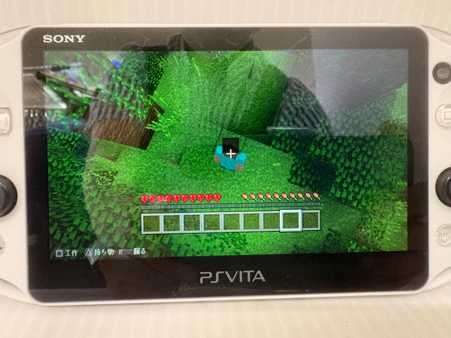 動作確認済 SONY PS Vita PCH-2000 ホワイト 本体 Minecraft 8GBメモリーカード ケース付き PSVITA